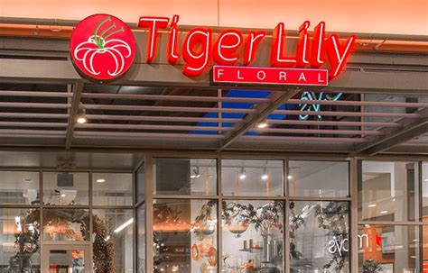 tiger lily las vegas